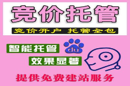行业领先企业的SEM托管公司合作案例